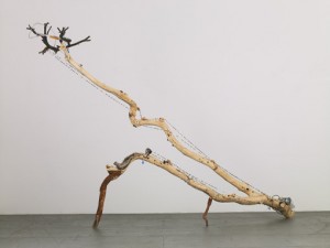 Tim_Hawkinson