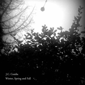 winterspringfall