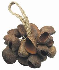 Togo_seed_rattle